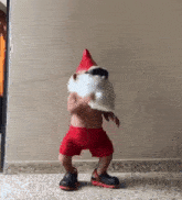 a baby dressed as santa claus is dancing .