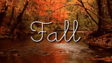 Fall Weather Leaf GIF - Fall Weather Leaf Fall GIFs