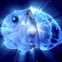 Galaxy Brain GIF - Galaxy Brain GIFs