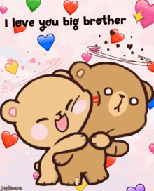 I Love You Big Brother Bear GIF - I Love You Big Brother Bear Hugs GIFs