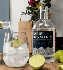 Barry Island Gin Gin GIF - Barry Island Gin Gin Gin And Tonic GIFs