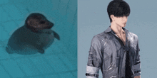 a seal and a man are next to each other