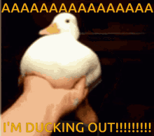 Duck Ducking GIF - Duck Ducking Ducking Out GIFs