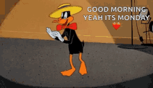 Cartoons Daffy GIF - Cartoons Daffy GIFs
