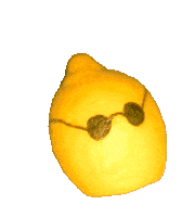 Lemon Prodlmn Sticker - Lemon Prodlmn Spinning Lemon Stickers