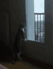 Waiting Aleone Cat GIF - Waiting Aleone Cat GIFs