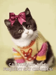Cat Waiting GIF - Cat Waiting Lovely GIFs