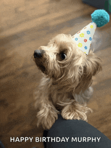 a small dog wearing a party hat with the words happy birthday murphy