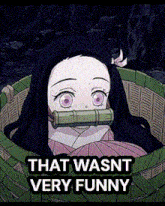 a cartoon of a girl in a basket with the words that wasnt very funny above her .