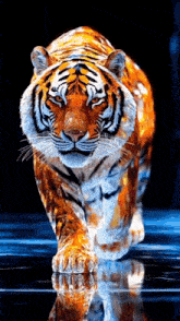 a painting of a tiger walking on a wet surface