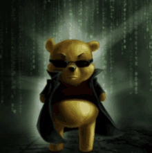 Matrix Winnie GIF