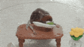 a toy cockroach is sitting on a table next to a vase of yellow flowers .