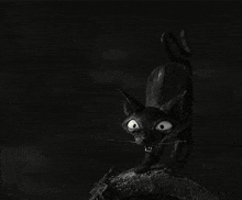 Black Cat Furious GIF - Black Cat Furious GIFs