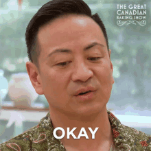 Okay Vincent GIF - Okay Vincent The Great Canadian Baking Show GIFs