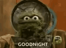 Sesame Street Oscar GIF - Sesame Street Oscar Goodnight GIFs
