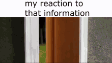 a person is standing in a doorway with the words `` my reaction to that information '' written on it .