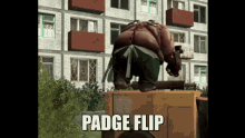 Padge Flip Meme GIF - Padge Flip Meme GIFs