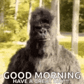 a large gorilla is standing in the woods and says `` good morning have a great day '' .