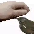 a person is feeding a bird with a knife .