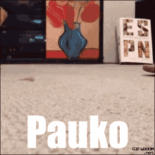 Pauko GIF - Pauko GIFs