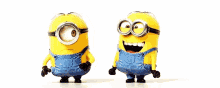 Minions Laughing GIF - Minions Laughing Bully GIFs