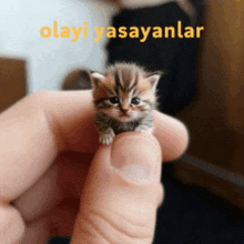 a person is holding a small kitten in their hand with the words " olayi yasayanlar " written above it