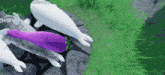 a purple eggplant with a green leaf is surrounded by other purple and white animals