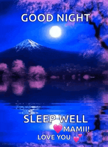 good night sleep well mami ! love you !