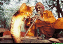 Snake Charmer Cats GIF - Snake Charmer Cats Funny GIFs
