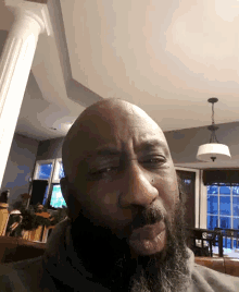a bald man with a beard is looking at the camera in a living room