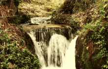 Natureza Waterfall GIF - Natureza Waterfall GIFs