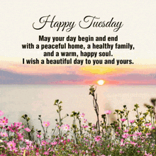 a happy tuesday message with a picture of flowers