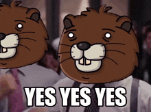 two cartoon beavers with the words yes yes yes on the bottom
