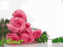 Rosas Flores GIF - Rosas Flores Roses GIFs
