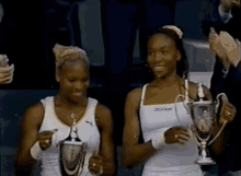 Venus And Serena Williams GIF - Sisters Tennis Venus Williams GIFs