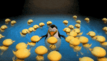 Ducky Duckies GIF - Ducky Duckies Yellow Duck GIFs