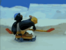 pingu roughing hockey ice hockey penguins