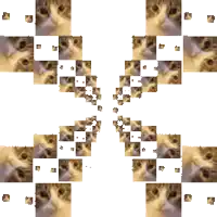 a picture of a cat is surrounded by squares