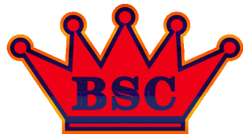 Bsc Barcelona Sticker - Bsc Barcelona Barcelonasportingclub Stickers