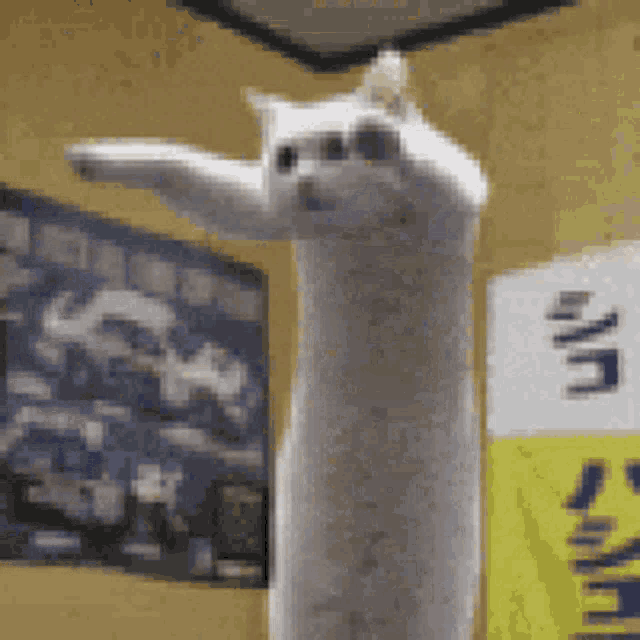 cXJT0MiDbKMAAAAd