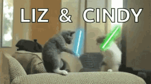 cat cats funny light sabers light saber