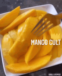 Mango Cult Mango GIF - Mango Cult Mango Mango Rice GIFs