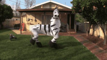 shuffle dance zebra madagascar afro