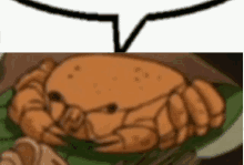 Thisisafuckingcrab Youcrab GIF - Thisisafuckingcrab Fuckingcrab Youcrab GIFs