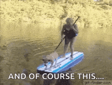 Paddle Board Stand Up Paddle Board GIF - Paddle Board Stand Up Paddle Board Fall GIFs
