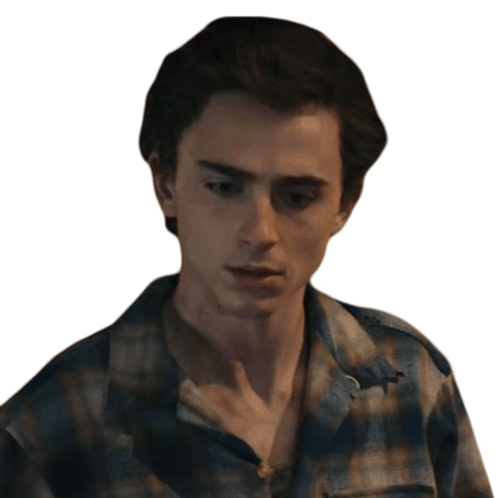 Whats This Timothée Chalamet Sticker - Whats This Timothée Chalamet Saturday Night Live Stickers