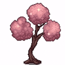 disc sakura sakura tree