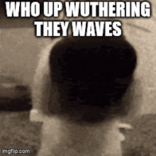 Sniffa Wuthering GIF - Sniffa Wuthering Waves GIFs