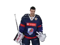 a hockey player wearing a jersey that says ' hortkorn ' on the front