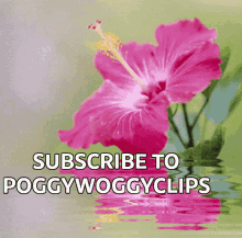 Poggy Woggy Clips Subscribe GIF - Poggy Woggy Clips Subscribe Hibiscus GIFs